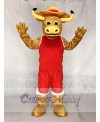 Texas Longhorns Hook'em Sport Bull Mascot Costumes