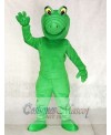 Albert Alligator Mascot Costumes Animal