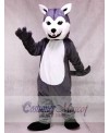 New Lovely Friendly Husky Dog Mascot Costume