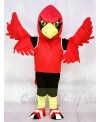 Red Cardinal with Vest Mascot Costumes Bird Animal