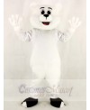 White Polar Bear Mascot Costumes Animal