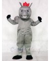 Gray Power Horse Mascot Costumes Animal