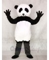 The Giant Panda Mascot Costumes Animal