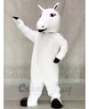 Horse Christmas Mascot Costumes Animal