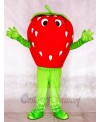 Red Strawberry Mascot Costumes Fruit