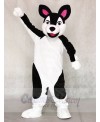 Black and White Husky Dog Mascot Costumes Animal