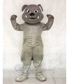 Grey Bulldog Mascot Costumes Animal 