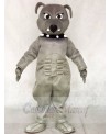 Grey Bulldog Mascot Costumes Animal 