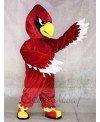Red Cardinal Mascot Costumes Bird Animal