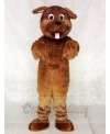 Lovely Brown Dog Mascot Costumes Animal