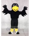 Black Crow Bird Raven Mascot Costumes Animal