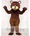 Brown Toy Teddy Bear Mascot Costumes Animal