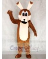 Coyotes Mascot Adult Costumes Animal