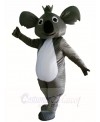 Koala Bear Mascot Costumes Animal