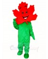 Green Body Maple Leaf Mascot Costumes Plant 