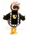Brown Owl King Mascot Costumes Animal 