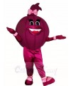 Purple Onion Mascot Costumes Vegetables