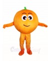 Orange Mascot Costumes Fruit Plant