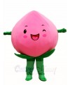 Pink Peach Mascot Costumes Fruit Food