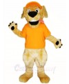 Retriever Dog with Orange Hat and Shirt Mascot Costumes Animal