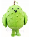 Durian Mascot Costumes Tropical Fruit 