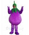 Face Show Eggplant Mascot Costumes Vegetable Plant