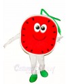 Half a Watermelon Mascot Costumes Fruit