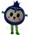 Blueberry Mascot Costumes Fruit