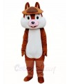 One Tooth Squirrel Mascot Costumes Animal
