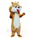 Brown Squirrel Mascot Costumes Animal