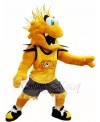 Yellow Storm Mascot Costumes