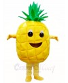 Pineapple Mascot Costumes Tropical Fruit Food Plant