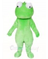 Wild Green Cabrite Lizard Mascot Costumes Animal