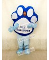 Custom Foam Body Paw Mascot Costume