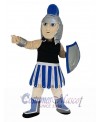 Knight mascot costume