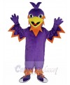Phoenix mascot costume