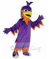 Phoenix mascot costume