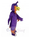 Phoenix mascot costume