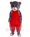 bear mascot costume
