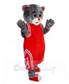 bear mascot costume