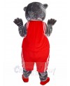 bear mascot costume