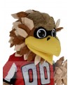 Falcon mascot costume