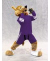 Coyote mascot costume