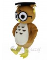 Owl mascot costume