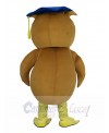 Owl mascot costume