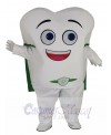 Tooth mascot costume