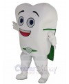 Tooth mascot costume