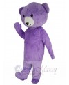 Teddy Bear mascot costume