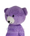Teddy Bear mascot costume