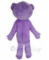 Teddy Bear mascot costume